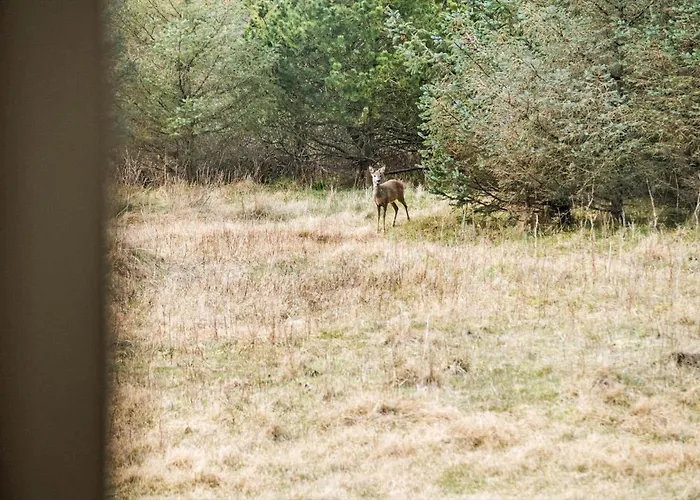 Ln1911-hjorring-under-bjergene-3